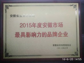 安徽省鹽業(yè)投資控股集團(tuán) 投資控股的戰(zhàn)略意義與未來(lái)展望