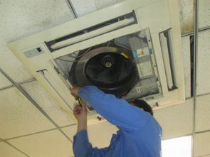 河源家電經(jīng)銷商拓展家電清洗服務 增收新機遇與實施策略